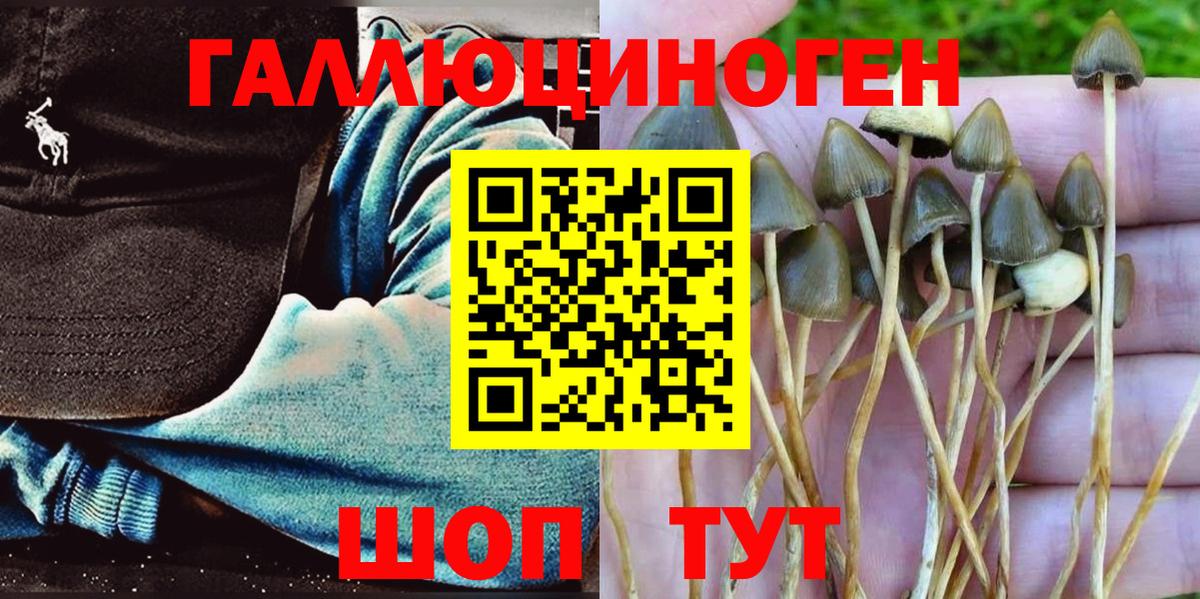 Качканар  Псилоцибиновые грибы мицелий  Вход с VPN 
