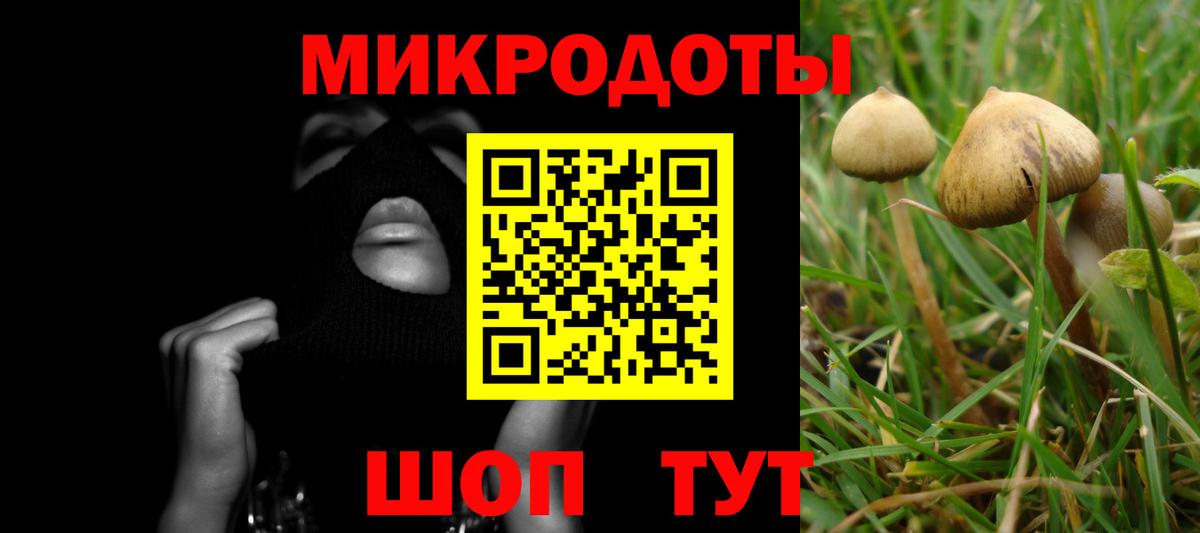 Галлюциногенные грибы Psilocybine cubensis Качканар